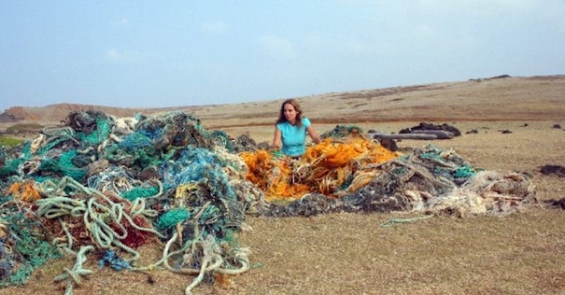 Artist Pam Longobardi|Pam Longobardi|Pam Longobardi|Pam Longobardi|Pam Longobardi|Pam Longobardi|Pam Longobardi|Pam Longobardi